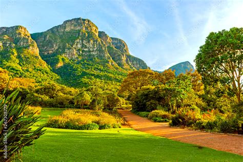  Kirstenbosch Ulusal Botanik Bahçesi Güney Afrika'nın Bitki Cenneti!