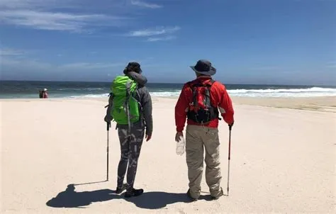  Yzerfontein's 16 Mile Beach: A Tranquil Escape for Shell Collectors and Sunbathers!